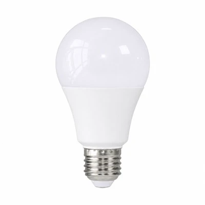 A70 LED電球
